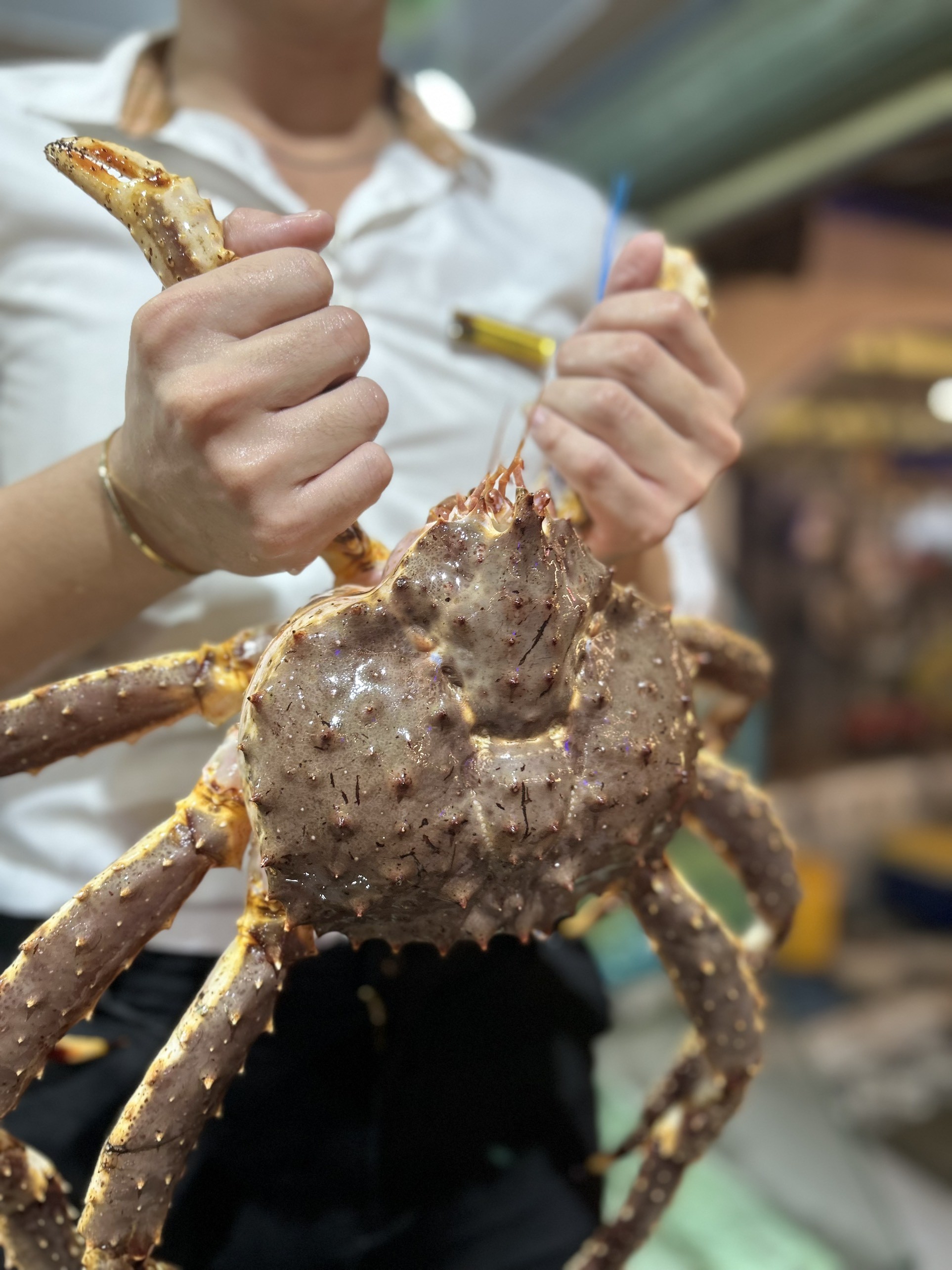 CUA KINGCRAB CHỈ 1.490.000/1kg